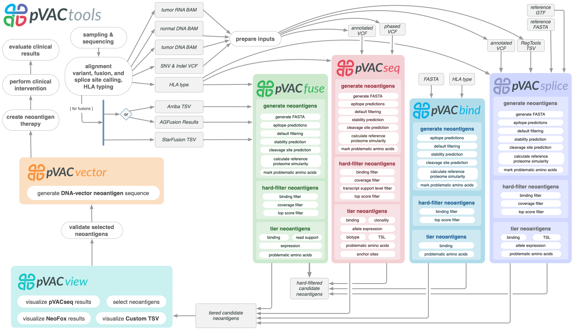 pVACtools immunotherapy workflow