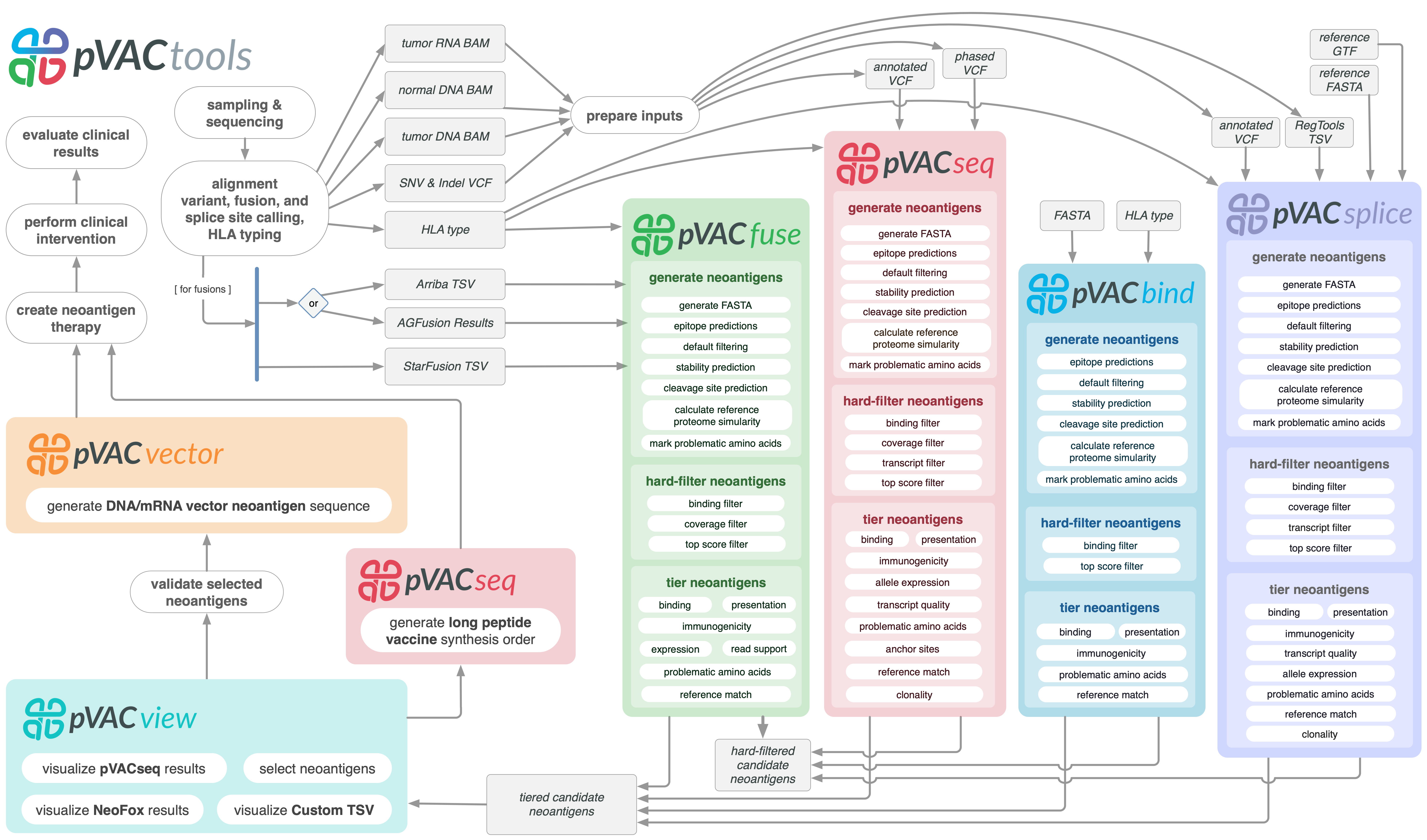pVACtools immunotherapy workflow